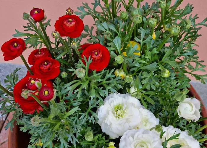 Bed & Breakfast Il Casale Nel Parco