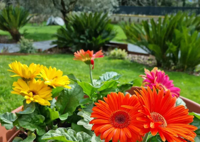 Il Casale Nel Parco 4* Roma